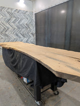 White Oak Live Edge Wood Slab #A948 150" x 33" - 42" x 2.6"