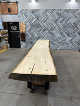 Poplar Live Edge Wood Slab #A729 142" x 20" - 26" x 4.2"