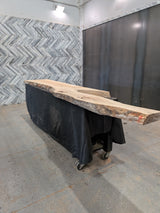 Sycamore Live Edge Wood Slab #B914 149" x 12" - 28" x 2.6"