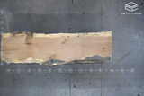 White Oak Live Edge Wood Slab #A836 124" x 32" - 34" x 3.0"