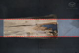 White Oak Live Edge Slab #A853 108" x 38" - 48" x 2.9