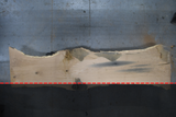 White Oak Live Edge Wood Slab #B943 148" x 27" - 30" x 3.0"