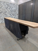 Ash Live Edge Wood Slab #B908 147" x 20" - 22" x 2.2"