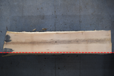 White Oak Live Edge Wood Slab #A788 147" x 31" - 36" x 3.5"