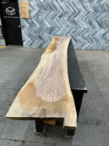 Walnut Live Edge Wood Slab #B605 128" x 16" - 26" x 1.7"