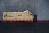 White Oak Live Edge Wood Slab #D118 98" x 22" - 36" x 2.8"