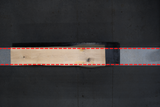 White Oak Live Edge Wood Slab #E378 96" x 18" - 24" x 2.8"