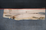Red Oak Slab #A586 144" x 31" - 45" x 3.0"