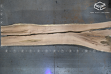 Red Oak Live Edge Wood Slab #A911 170" x 30" - 44" x 2.3"