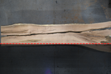 Red Oak Live Edge Wood Slab #A911 170" x 30" - 44" x 2.3"