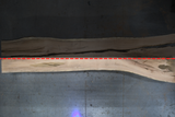 Red Oak Live Edge Wood Slab #A911 170" x 30" - 44" x 2.3"