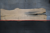 White Oak Live Edge Wood Slab #A945 151" x 33" - 44" x 2.6"