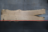 White Oak Live Edge Wood Slab #A947 150" x 33" - 42" x 2.6"