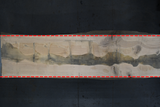 White Oak Live Edge Wood Slab #A949 164" x 42" - 48" x 3.3"