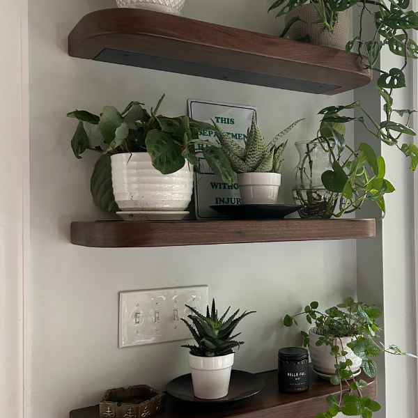 Custom Shelves