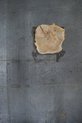 White Oak Wood Cookie #G976 45" x 36"-43" x 2.3" — overhead view — Oak City Customs