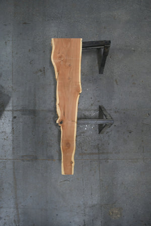 Cedar
