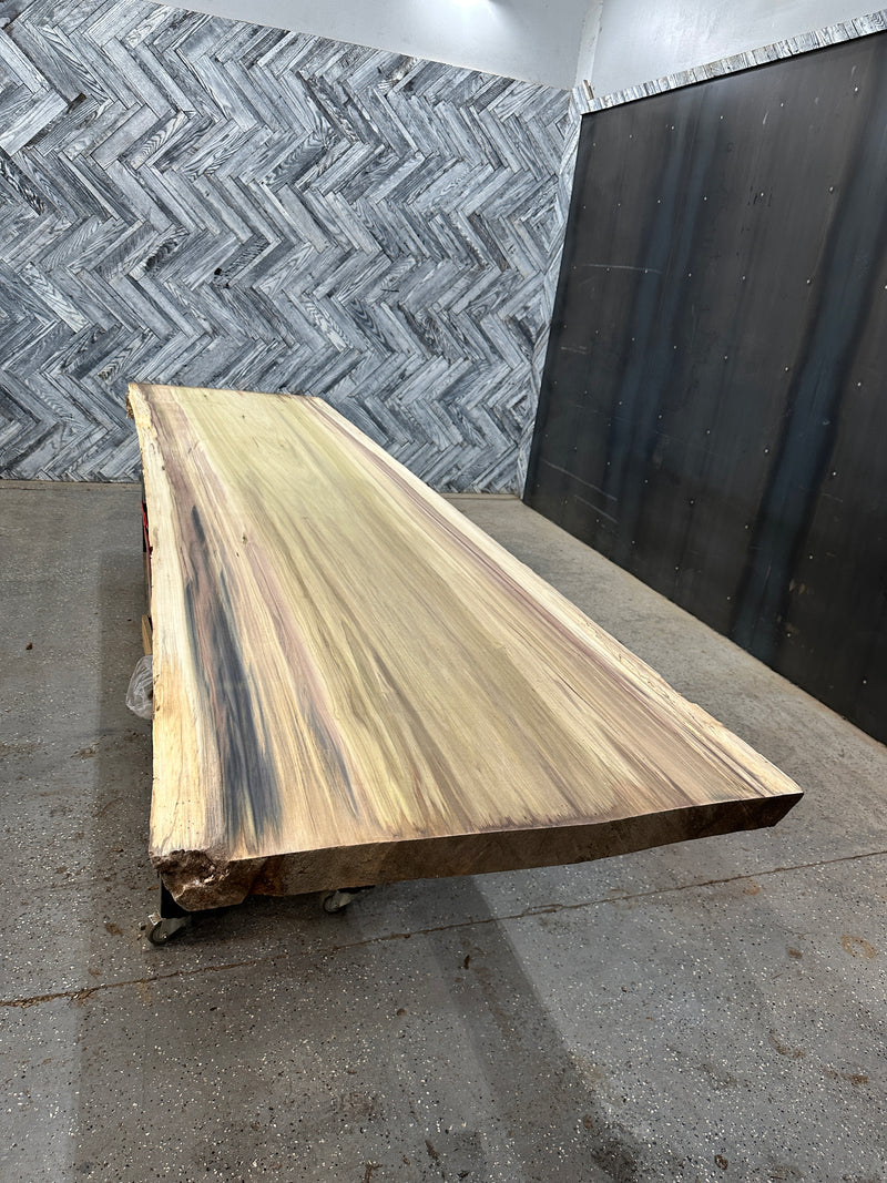 Poplar Slab #FWX570 149" x 37" - 38" x 2.5"