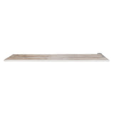 Slab 195, 3D model