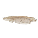 Slab 977, 3D model