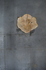 White Oak Wood Cookie #G979 49" x 37"-47" x 2.4" — overhead view — Oak City Customs