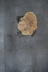 White Oak Wood Cookie #G977 54" x 24"-44" x 2.4" — overhead view — Oak City Customs