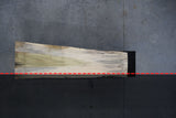 Poplar Live Edge Wood Slab # D217 103" x 22"-35" x 2.2"