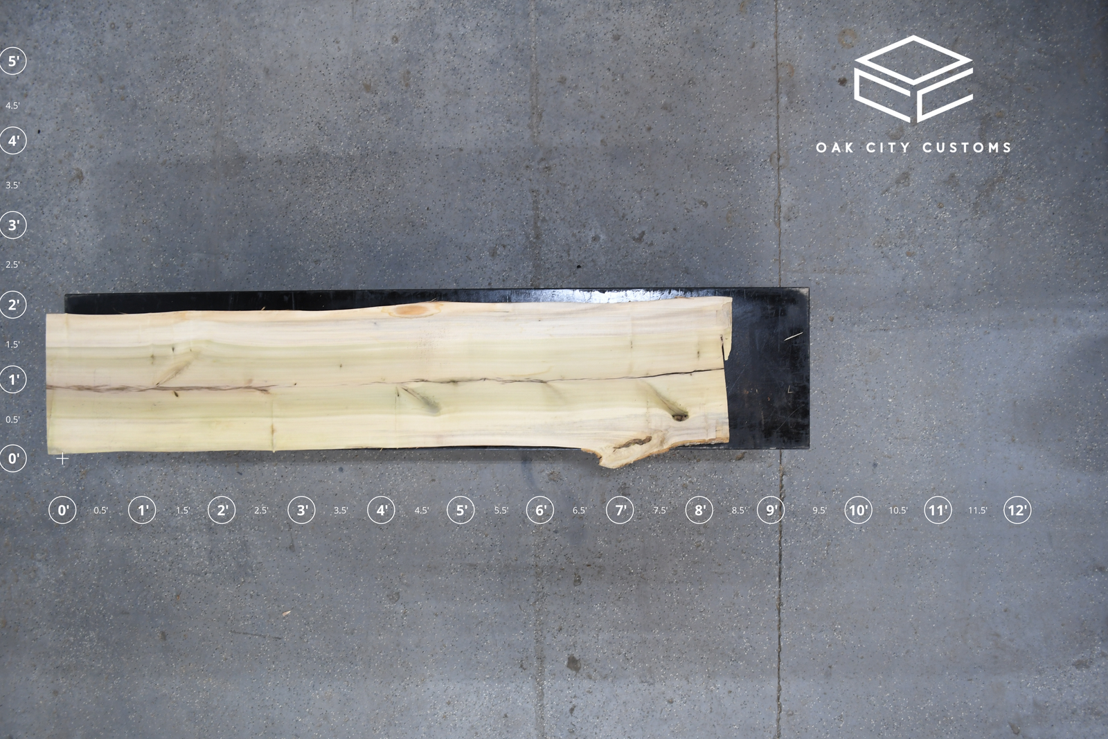 Poplar Live Edge Wood Slab #D366 99