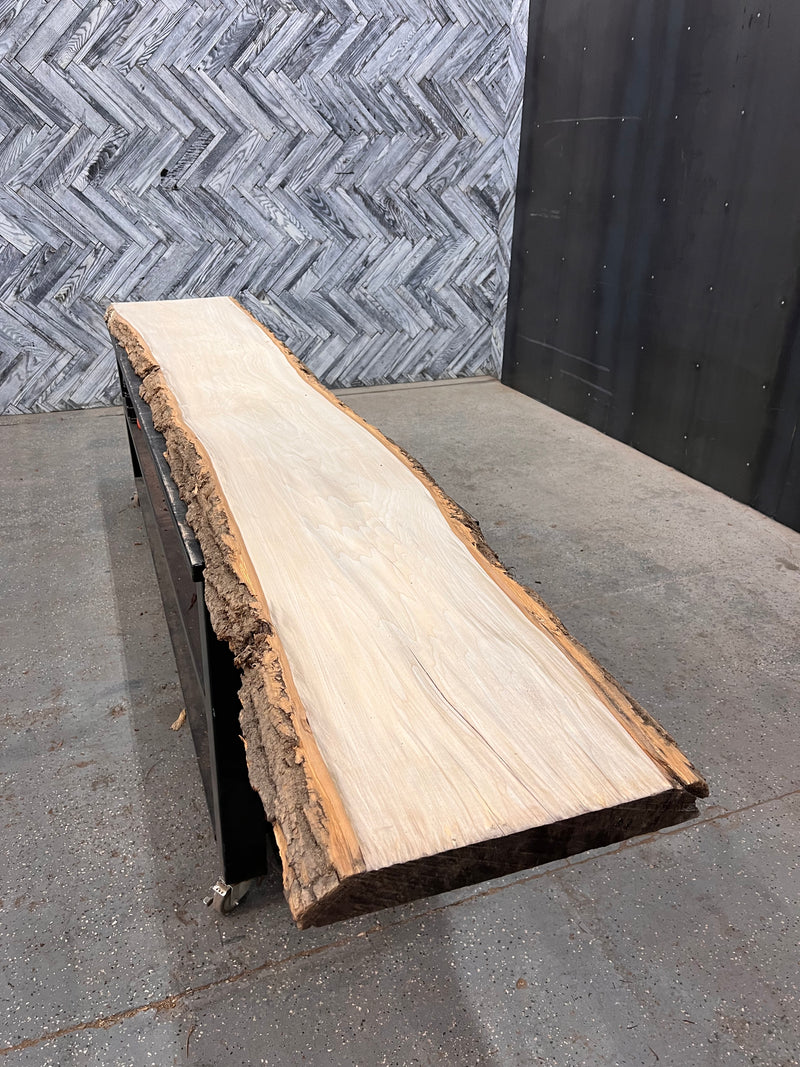 Poplar Slab #C461 145" x 16" - 23" x 2.0"